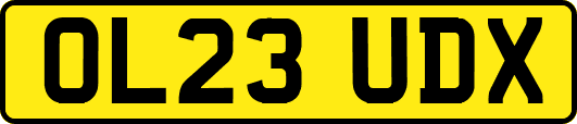 OL23UDX