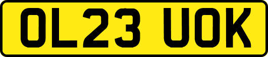 OL23UOK