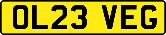 OL23VEG