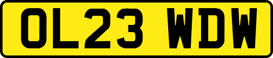 OL23WDW