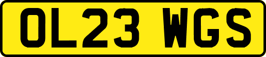 OL23WGS