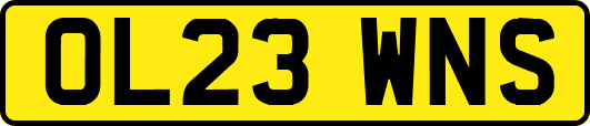 OL23WNS