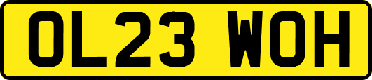 OL23WOH