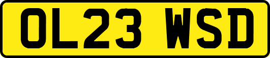 OL23WSD