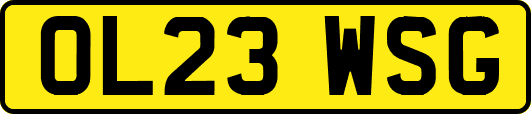 OL23WSG