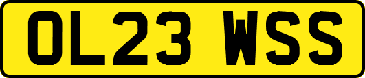 OL23WSS