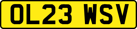 OL23WSV