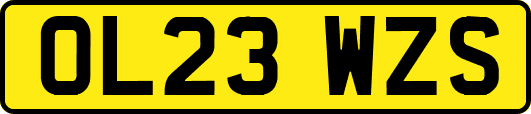 OL23WZS