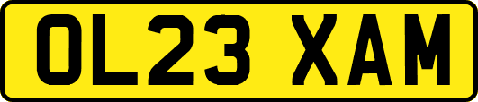 OL23XAM