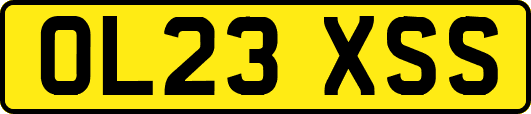 OL23XSS