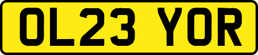 OL23YOR