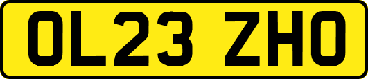OL23ZHO
