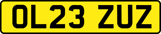 OL23ZUZ