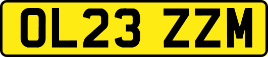 OL23ZZM