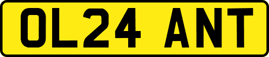 OL24ANT