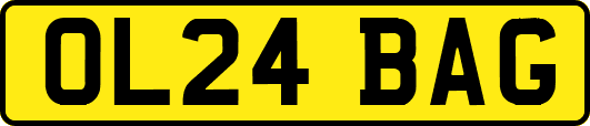 OL24BAG