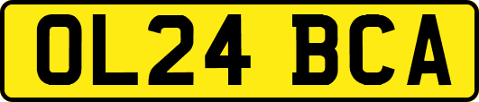 OL24BCA