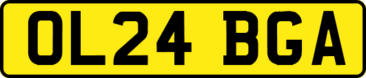 OL24BGA