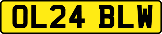 OL24BLW