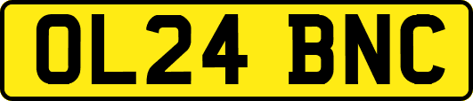 OL24BNC