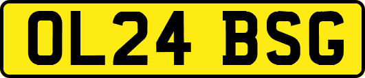 OL24BSG