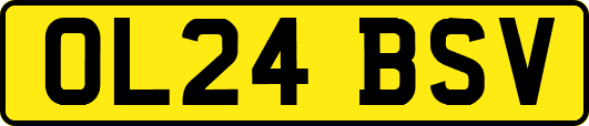 OL24BSV