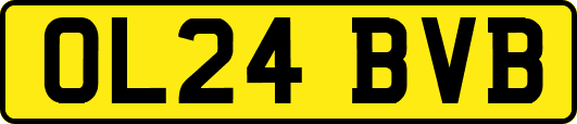 OL24BVB