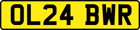 OL24BWR