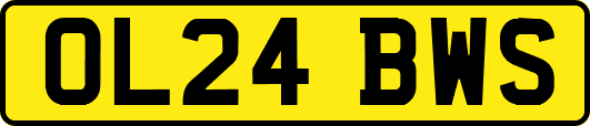 OL24BWS