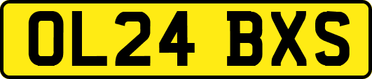 OL24BXS