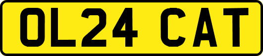 OL24CAT