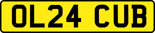 OL24CUB