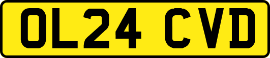 OL24CVD