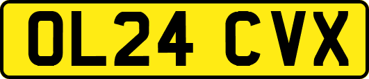 OL24CVX