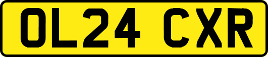 OL24CXR