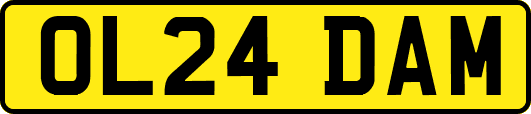 OL24DAM
