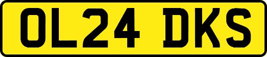 OL24DKS