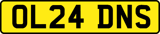 OL24DNS