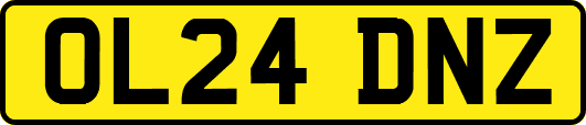 OL24DNZ