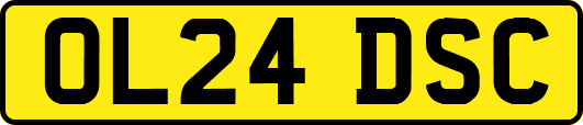 OL24DSC