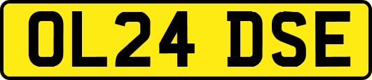 OL24DSE