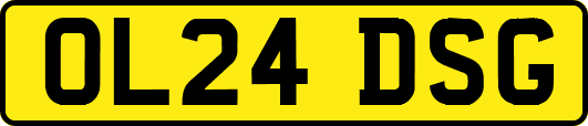 OL24DSG
