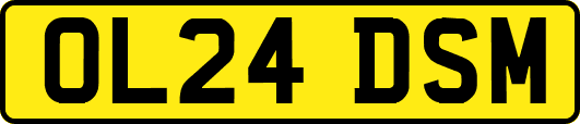 OL24DSM