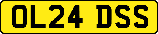 OL24DSS