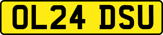 OL24DSU