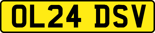 OL24DSV