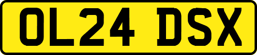 OL24DSX