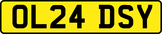OL24DSY