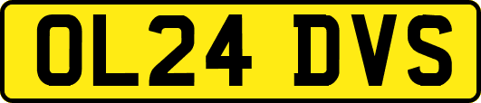 OL24DVS