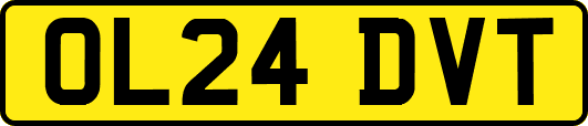 OL24DVT